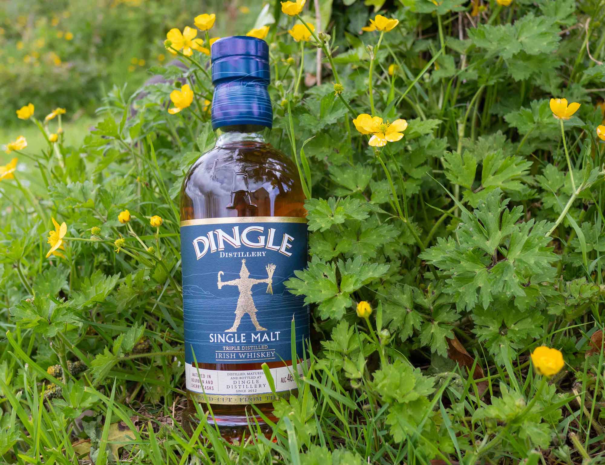 Dingle core range single malt