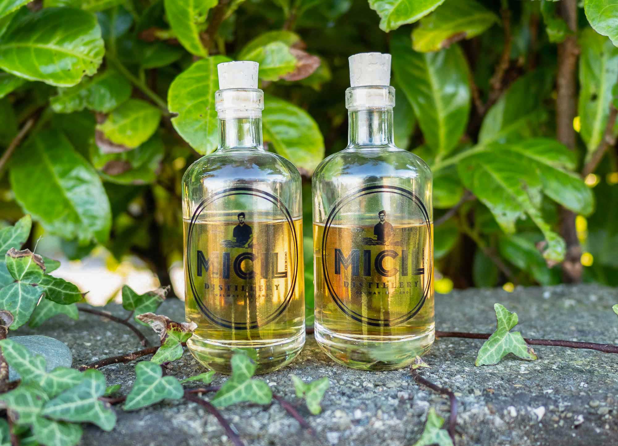 Micil Inverin and Earl's island